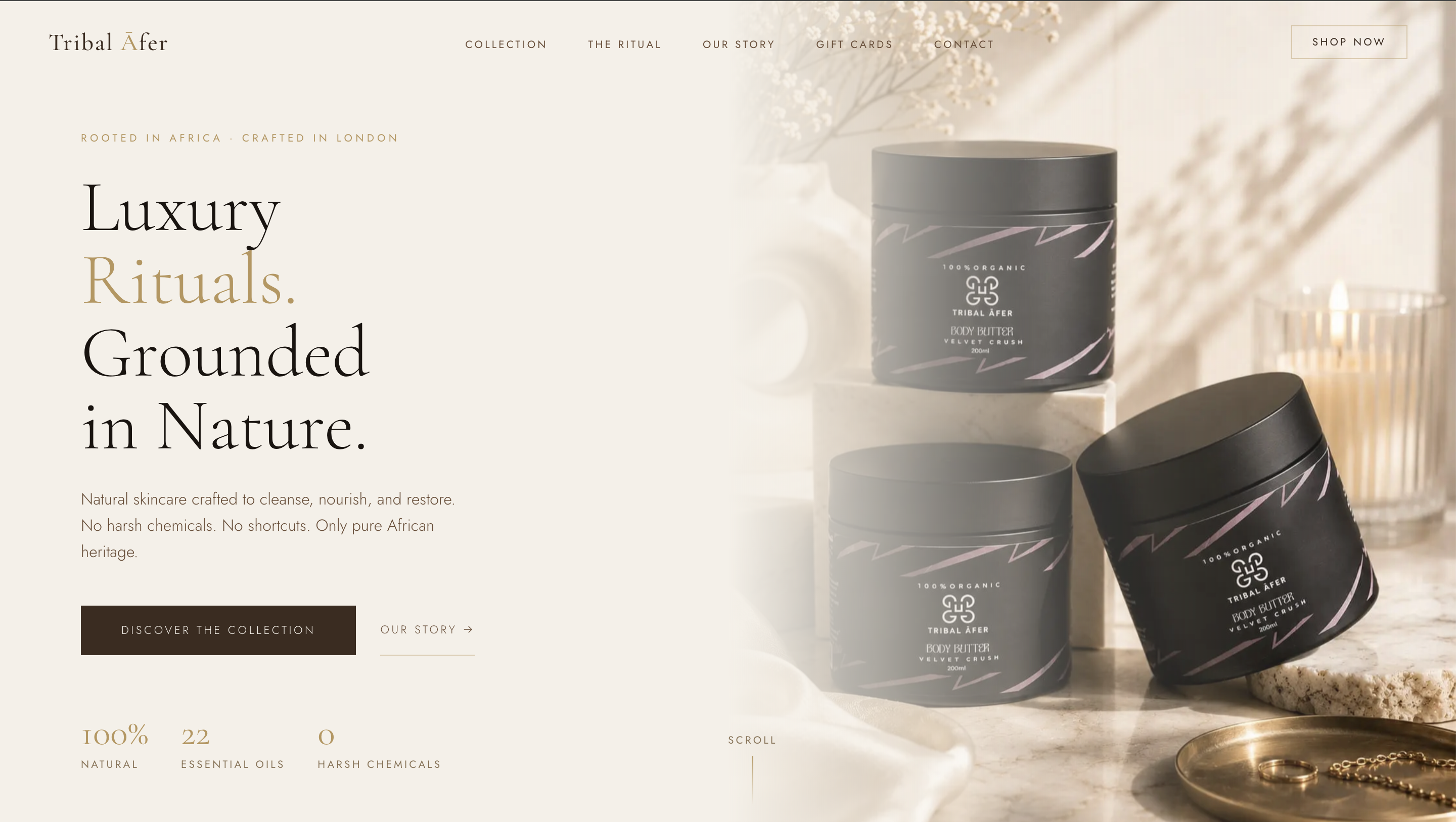 Tribal Āfer website — designed and developed by YKoncept